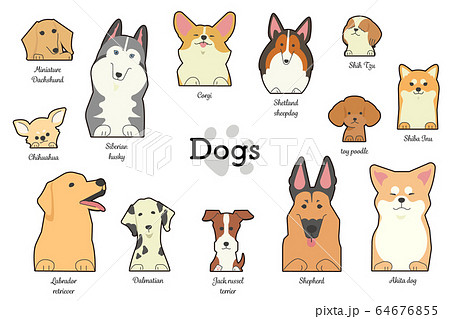 前足を乗っけているいろいろな種類の犬たち 種類付き のイラスト素材
