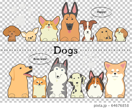 前足を乗っけているいろいろな種類の犬たち 64676858
