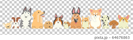 Rows of dogs of all kinds riding on their paws Rows of dogs of all kinds riding on their paws 64676863