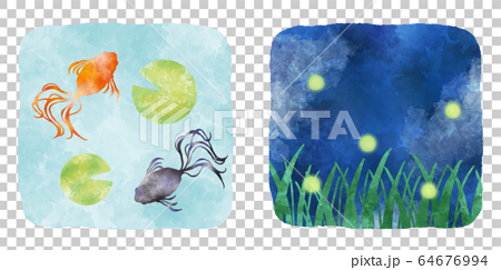 夏の風物詩 金魚と蛍 水彩風イラストのイラスト素材