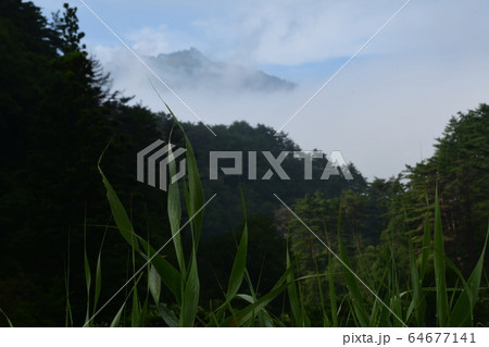 黒澤湿原から見る国見山 64677141