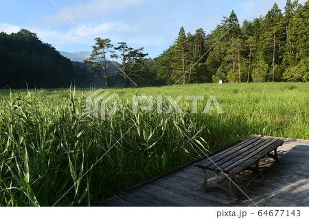 初夏の黒沢湿原 初夏の黒沢湿原 64677143