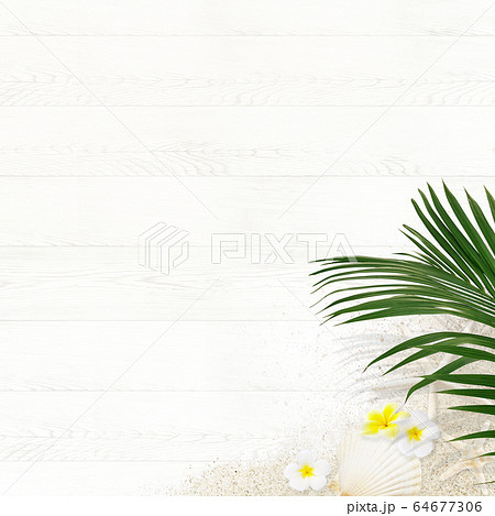 背景-トロピカル-木目 背景-トロピカル-木目 64677306