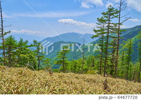 山梨の奥甘利山の山頂付近から南側に見る山々(櫛形山、丸山など) 64677720