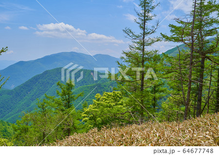 山梨の奥甘利山の山頂付近から南側に見る山々(櫛形山、丸山など) 64677748