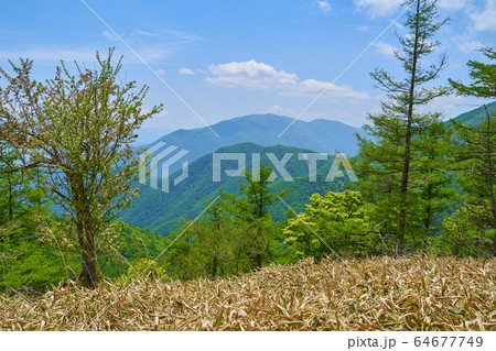 山梨の奥甘利山の山頂から南側に見る山々(櫛形山、丸山など) 64677749
