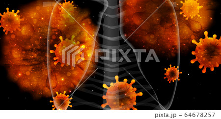 コロナ　ウイルス　肺　背景 64678257