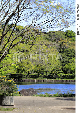 三ツ池公園 (横浜) 64679208