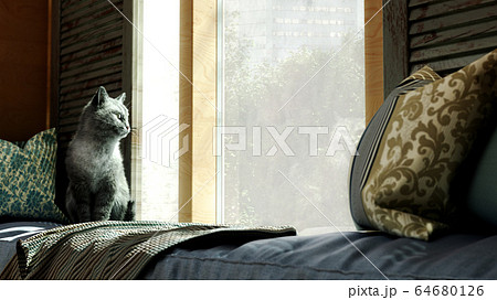 cozy home concept cat sits on a mattress by the cozy home concept cat sits on a mattress by the 64680126
