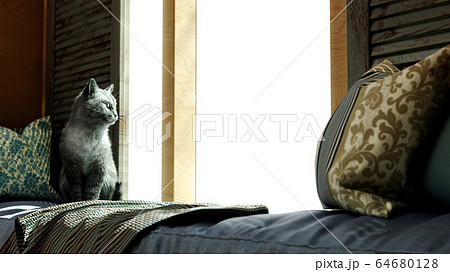 cozy home concept cat sits on a mattress by the 64680128