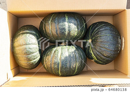 おいしい南瓜 おいしい南瓜 64680138