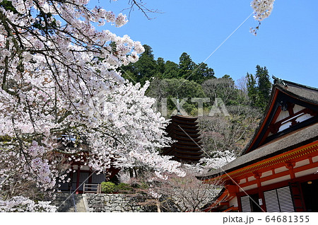 談山神社 談山神社 64681355