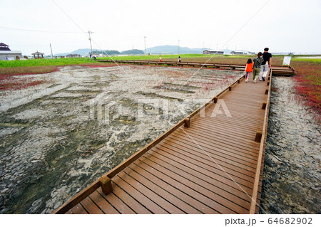 証 島 新案 64682902