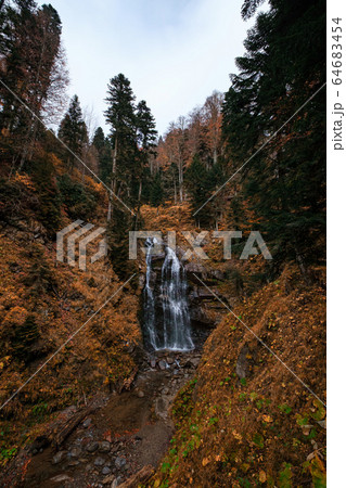 River deep in mountain forest. Nature composition. River deep in mountain forest. Nature composition. 64683454
