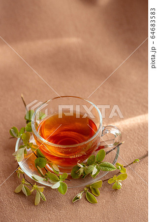 glass cup of tea by the window with green young 64683583