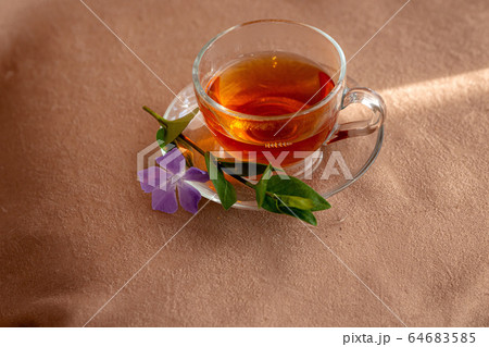 glass cup of tea with a plate by the window 64683585