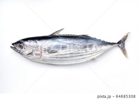 初がつお、初ガツオ、初カツオ、初かつお、初鰹、国産御前崎産の初鰹