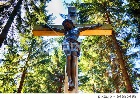 crucifix in the forest crucifix in the forest 64685498