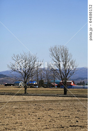 耕起前の畑&樹木・春の北海道 耕起前の畑&樹木・春の北海道 64686152