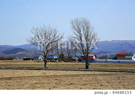 耕起前の畑&樹木・春の北海道 耕起前の畑&樹木・春の北海道 64686153