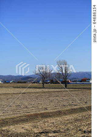耕起前の畑＆樹木・春の北海道 64686154