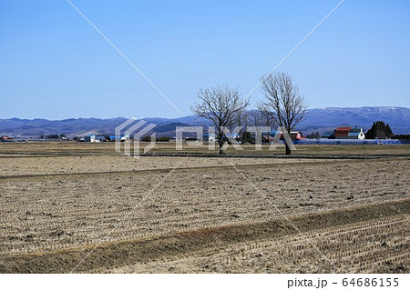 耕起前の畑&樹木・春の北海道 耕起前の畑&樹木・春の北海道 64686155
