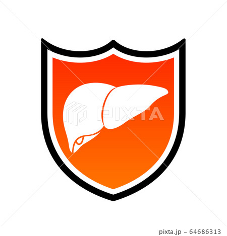 Human liver in shield. icon design. Human liver in shield. icon design. 64686313