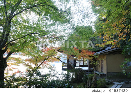 紅葉の臥龍山荘 紅葉の臥龍山荘 64687420