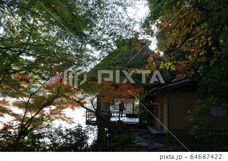 紅葉の臥龍山荘 紅葉の臥龍山荘 64687422