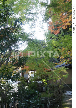 紅葉の臥龍山荘 紅葉の臥龍山荘 64687436