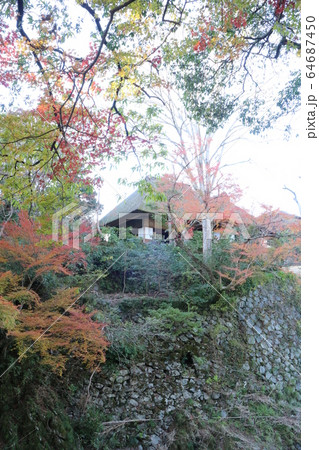 紅葉の臥龍山荘 紅葉の臥龍山荘 64687450