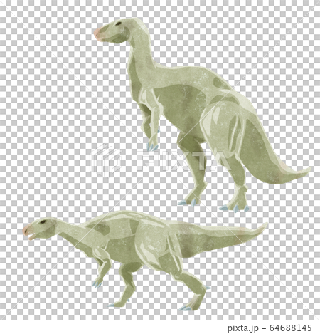 イグアノドンイメージイラスト 64688145