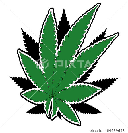 Vector illustration cannabis hemp 64689643