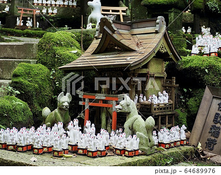 鎌倉・佐助稲荷神社 鎌倉・佐助稲荷神社 64689976