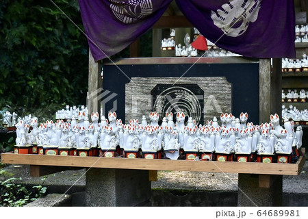 鎌倉・佐助稲荷神社 鎌倉・佐助稲荷神社 64689981