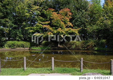 中郷サービスエリア 赤い靴詩碑公園 中郷サービスエリア 赤い靴詩碑公園 64691047
