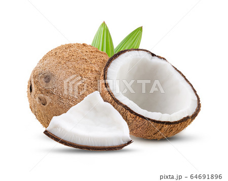 coconut with leaf isolated on white background. full depth of field 64691896