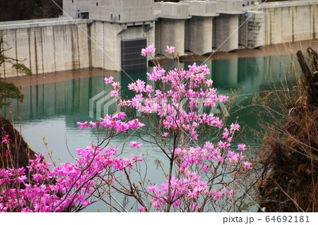 八ッ場ダム湖 64692181