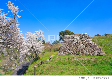 〈島根県〉月山富田城跡と桜　山中御殿跡の石垣 64692551