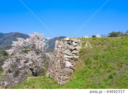 〈島根県〉月山富田城跡と桜　山中御殿跡の石垣 64692557