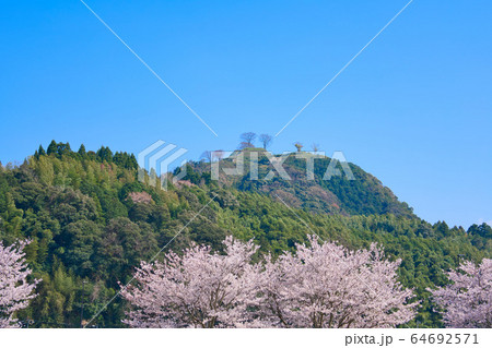 〈島根県〉月山富田城跡と桜 64692571