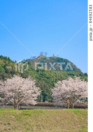 〈島根県〉月山富田城跡と桜 〈島根県〉月山富田城跡と桜 64692583