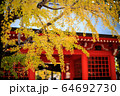 赤い門 64692730