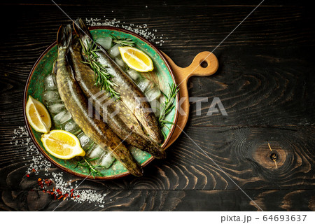 Raw fish pike with herbs and spices 64693637