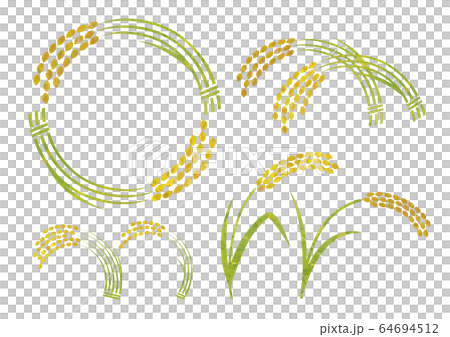 Various colors of rice 64694512