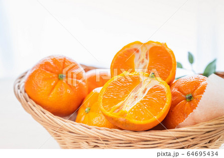 ダブルマーコット ダブルマーコット 64695434