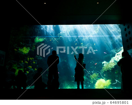 サンゴ礁の海の大水槽を見つめる家族 シルエット 撮影許可・協力:アクアマリンふくしま サンゴ礁の海の大水槽を見つめる家族 シルエット 撮影許可・協力:アクアマリンふくしま 64695801