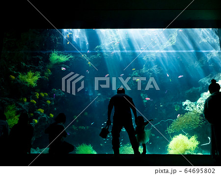 サンゴ礁の海の大水槽を見つめる家族　シルエット　撮影許可・協力：アクアマリンふくしま 64695802