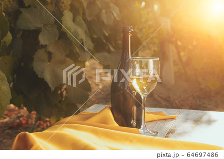 One glass and bottle of the white wine in autumn One glass and bottle of the white wine in autumn 64697486
