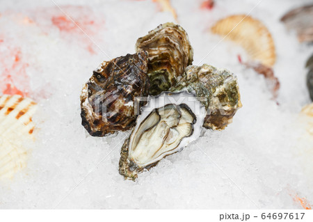Far Eastern oysters on a crumb of ice. Showcase in a restaurant. Far Eastern oysters on a crumb of ice. Showcase in a restaurant. 64697617